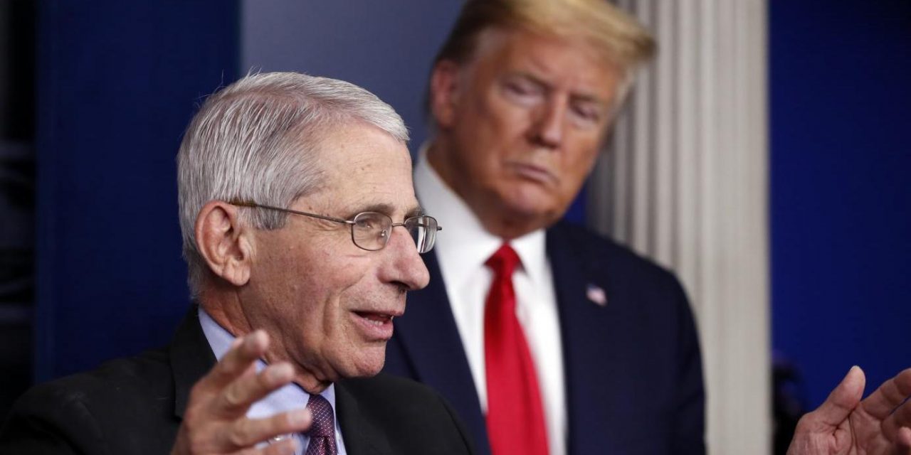 Fauci depone al Senato americano