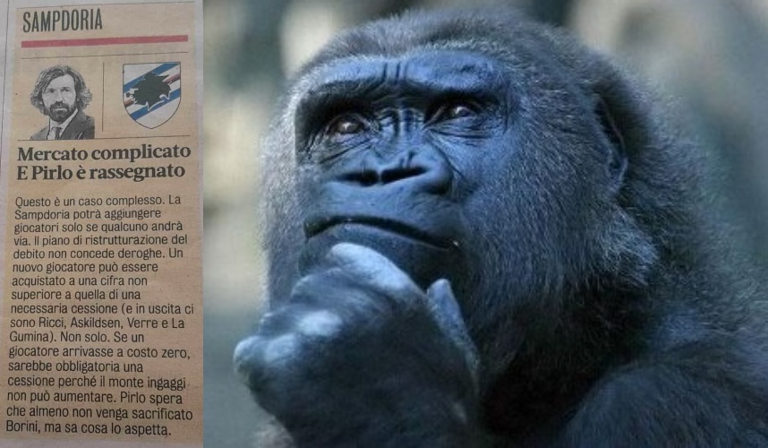 Giornalisti e genoani che li seguono